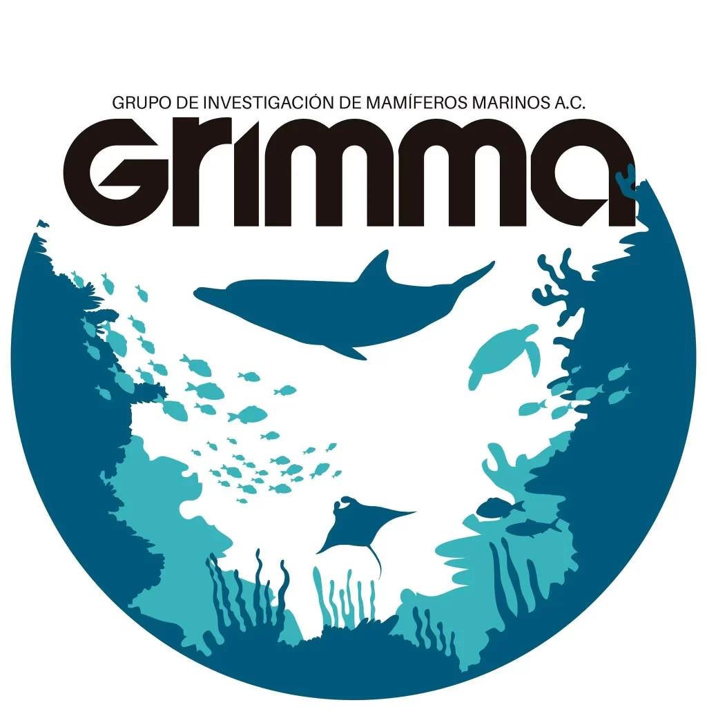 Grimma Grupo de Investigación de Mamíferos Marinos A.C. - Explora Bahía